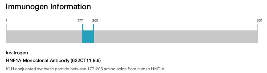 HNF1A Monoclonal Antibody (622CT11.9.6)