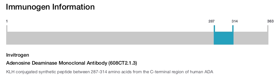 Adenosine Deaminase Monoclonal Antibody (608CT2.1.3)