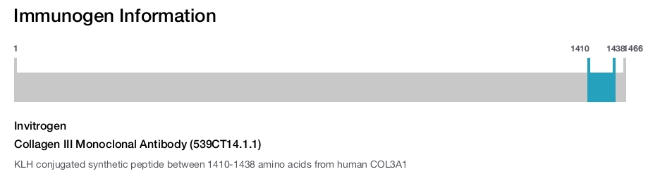 Collagen III Monoclonal Antibody (539CT14.1.1)