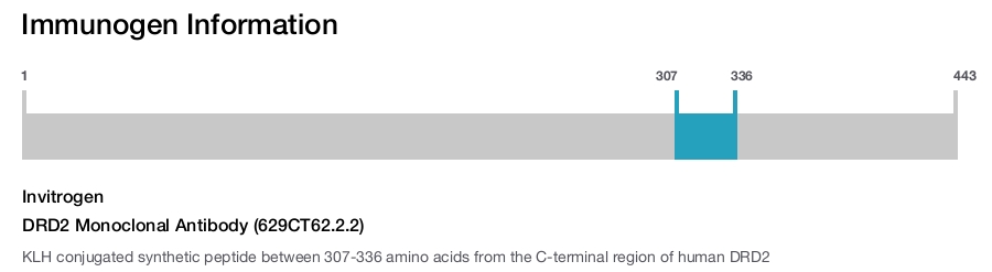 DRD2 Monoclonal Antibody (629CT62.2.2)