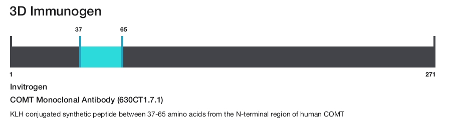 COMT Monoclonal Antibody (630CT1.7.1)