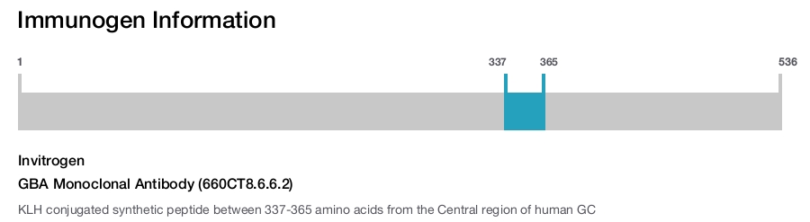 GBA Monoclonal Antibody (660CT8.6.6.2)