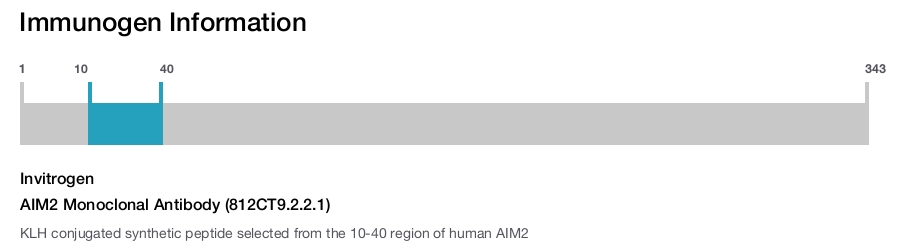 AIM2 Monoclonal Antibody (812CT9.2.2.1)