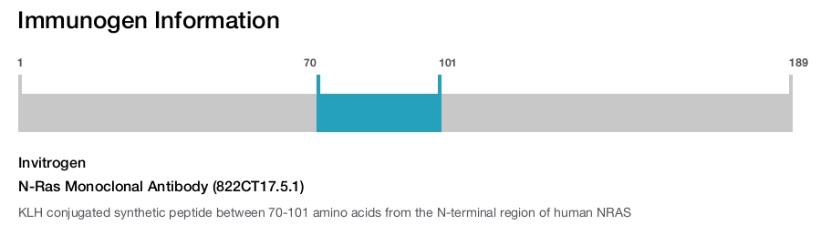 N-Ras Monoclonal Antibody (822CT17.5.1)