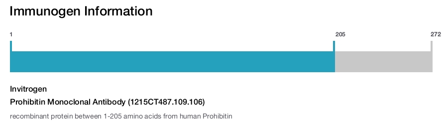 Prohibitin Monoclonal Antibody (1215CT487.109.106)