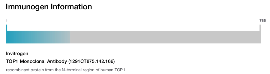 TOP1 Monoclonal Antibody (1291CT875.142.166)