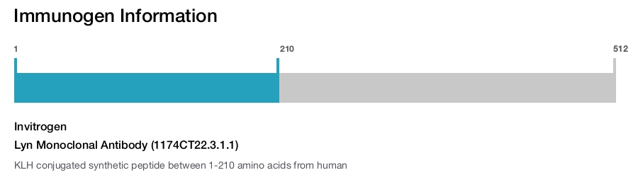 Lyn Monoclonal Antibody (1174CT22.3.1.1)