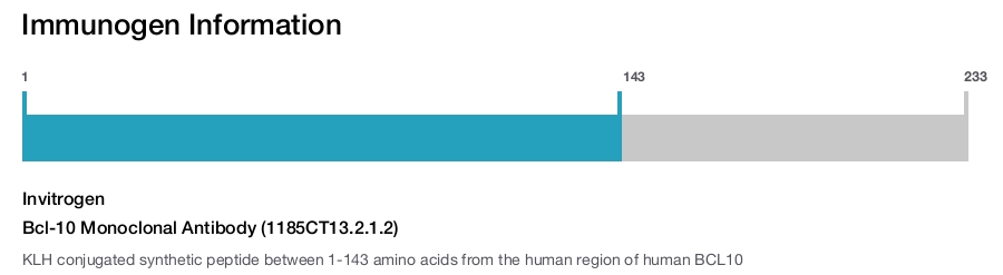 Bcl-10 Monoclonal Antibody (1185CT13.2.1.2)