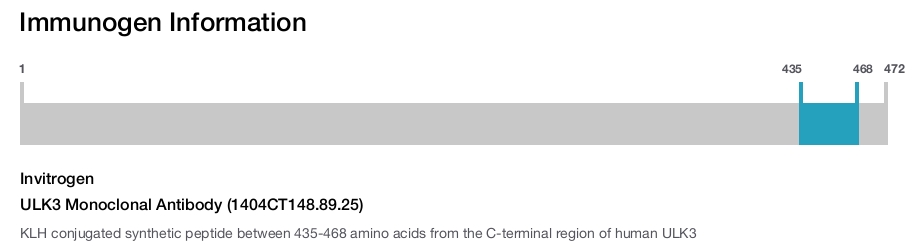 ULK3 Monoclonal Antibody (1404CT148.89.25)