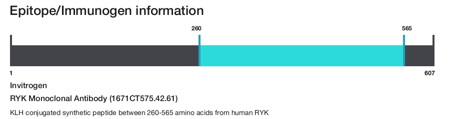 RYK Monoclonal Antibody (1671CT575.42.61)
