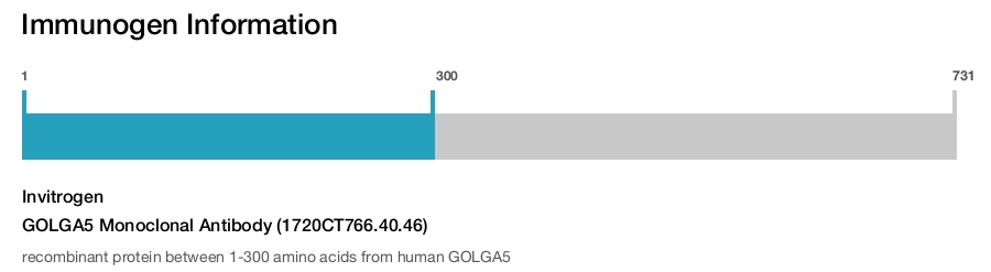 GOLGA5 Monoclonal Antibody (1720CT766.40.46)