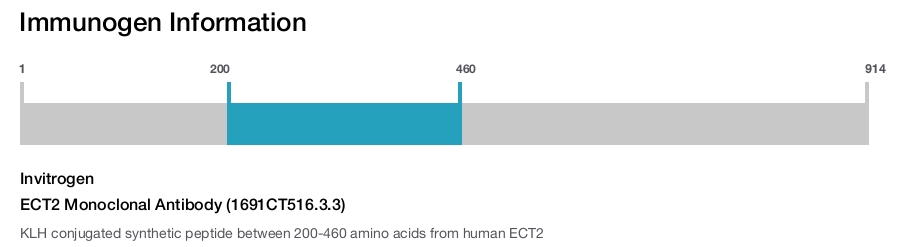 ECT2 Monoclonal Antibody (1691CT516.3.3)