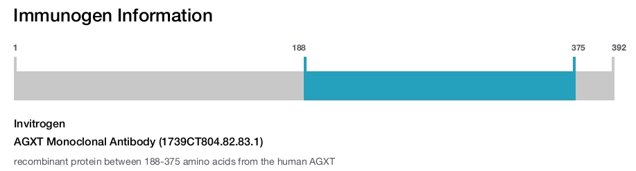 AGXT Monoclonal Antibody (1739CT804.82.83.1)