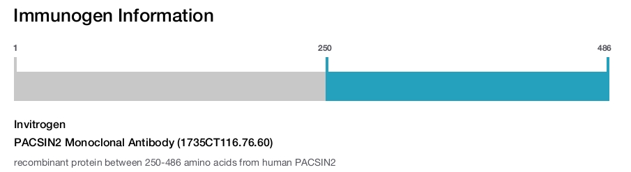 PACSIN2 Monoclonal Antibody (1735CT116.76.60)
