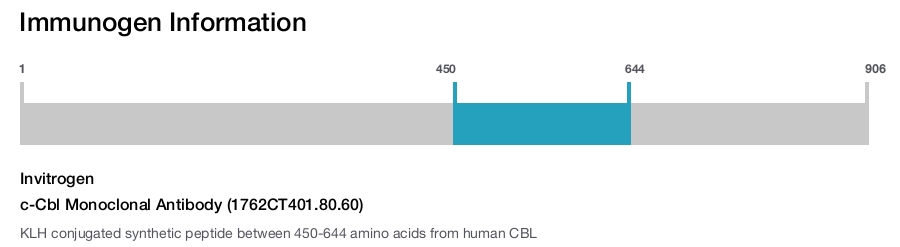 c-Cbl Monoclonal Antibody (1762CT401.80.60)