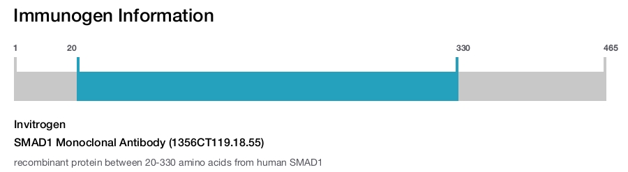 SMAD1 Monoclonal Antibody (1356CT119.18.55)