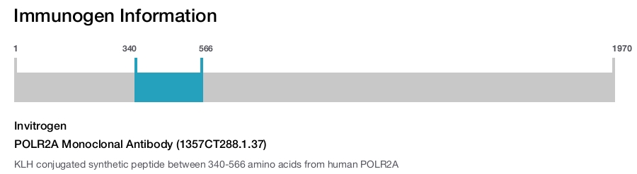 POLR2A Monoclonal Antibody (1357CT288.1.37)