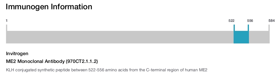 ME2 Monoclonal Antibody (970CT2.1.1.2)