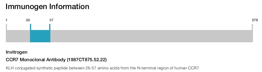 CCR7 Monoclonal Antibody (1987CT875.52.22)