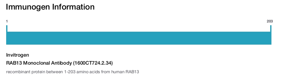 RAB13 Monoclonal Antibody (1600CT724.2.34)