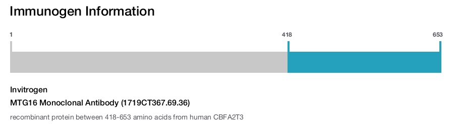 MTG16 Monoclonal Antibody (1719CT367.69.36)
