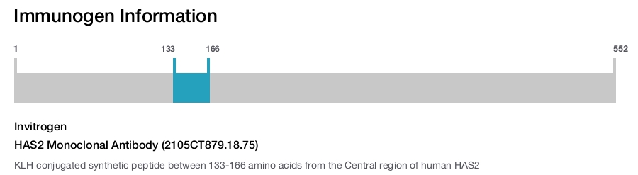HAS2 Monoclonal Antibody (2105CT879.18.75)