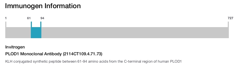 PLOD1 Monoclonal Antibody (2114CT109.4.71.73)