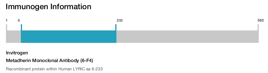 Metadherin Monoclonal Antibody (6-F4)