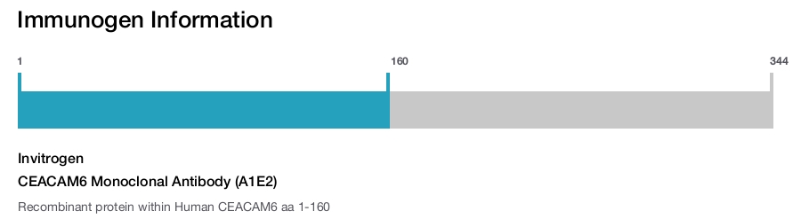 CEACAM6 Monoclonal Antibody (A1E2)