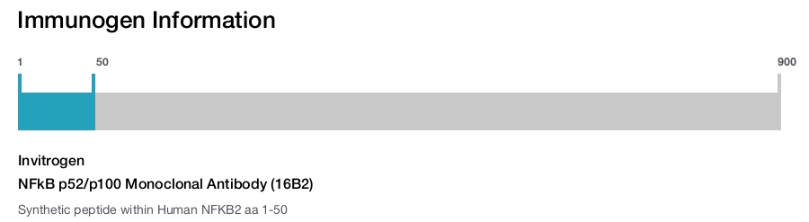 NFkB p52/p100 Monoclonal Antibody (16B2)