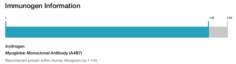 Myoglobin Monoclonal Antibody (A4B7)