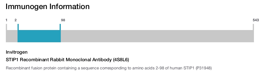 STIP1 Recombinant Rabbit Monoclonal Antibody (4S8L6)