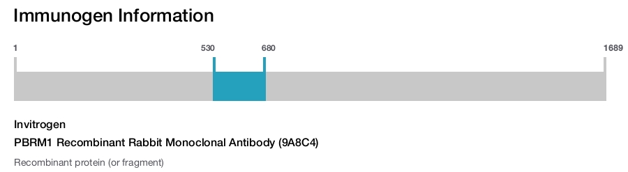 PBRM1 Recombinant Rabbit Monoclonal Antibody (9A8C4)