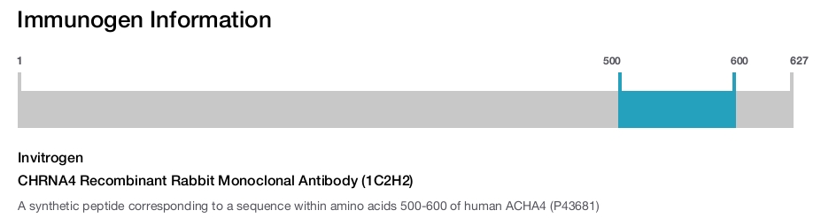 CHRNA4 Recombinant Rabbit Monoclonal Antibody (1C2H2)