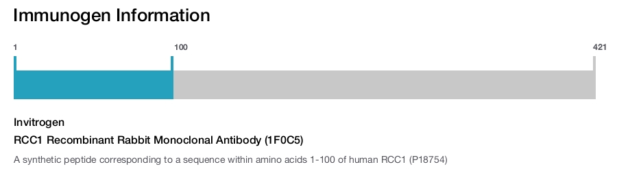 RCC1 Recombinant Rabbit Monoclonal Antibody (1F0C5)
