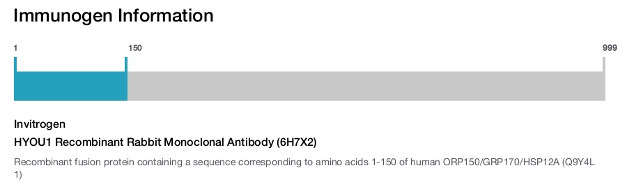 HYOU1 Recombinant Rabbit Monoclonal Antibody (6H7X2)