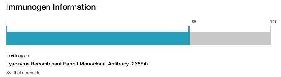 Lysozyme Recombinant Rabbit Monoclonal Antibody (2Y5E4)