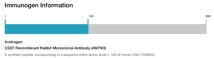 CD27 Recombinant Rabbit Monoclonal Antibody (4M7N3)