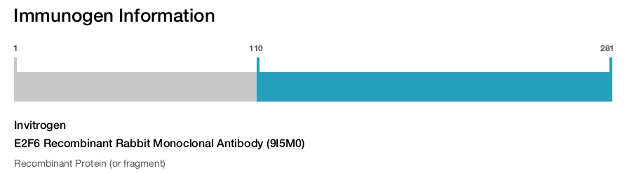E2F6 Recombinant Rabbit Monoclonal Antibody (9I5M0)