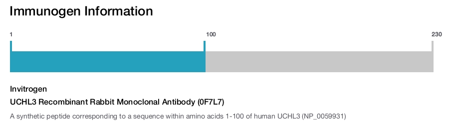 UCHL3 Recombinant Rabbit Monoclonal Antibody (0F7L7)