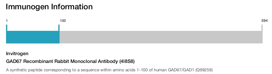GAD67 Recombinant Rabbit Monoclonal Antibody (4I8S8)