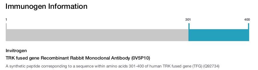 TRK fused gene Recombinant Rabbit Monoclonal Antibody (0V5P10)