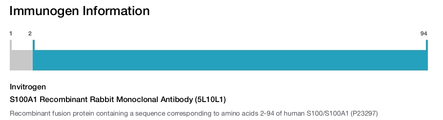 S100A1 Recombinant Rabbit Monoclonal Antibody (5L10L1)