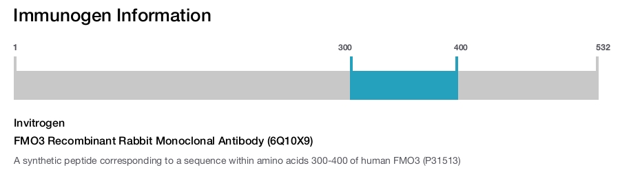 FMO3 Recombinant Rabbit Monoclonal Antibody (6Q10X9)