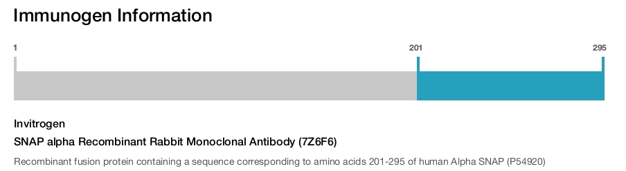 SNAP alpha Recombinant Rabbit Monoclonal Antibody (7Z6F6)