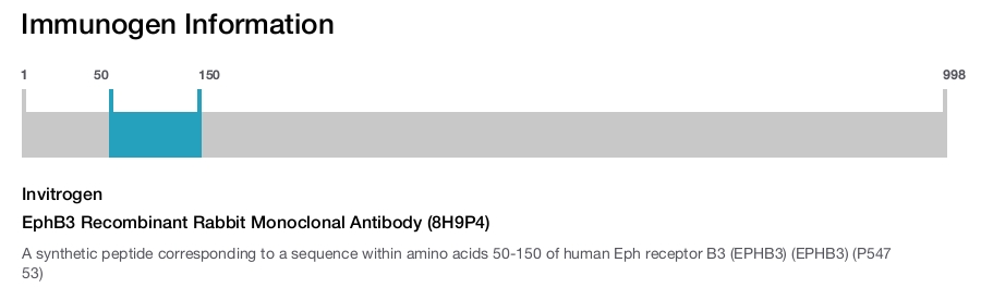 EphB3 Recombinant Rabbit Monoclonal Antibody (8H9P4)