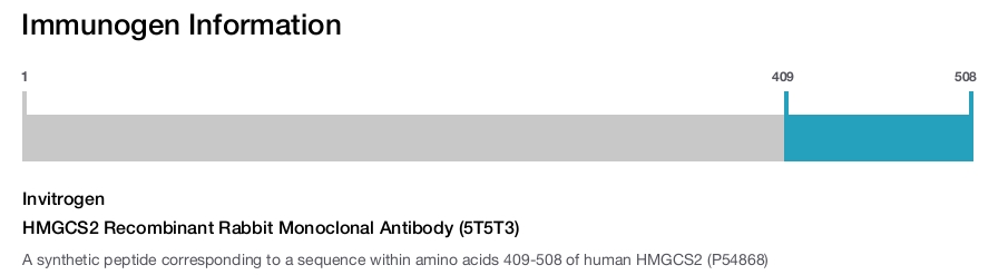 HMGCS2 Recombinant Rabbit Monoclonal Antibody (5T5T3)