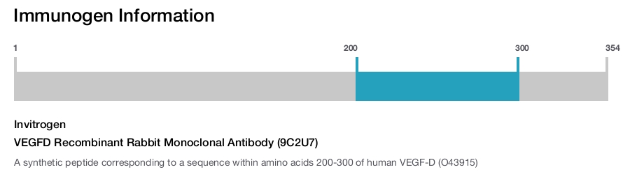 VEGFD Recombinant Rabbit Monoclonal Antibody (9C2U7)