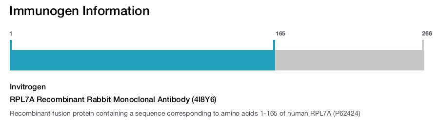 RPL7A Recombinant Rabbit Monoclonal Antibody (4I8Y6)