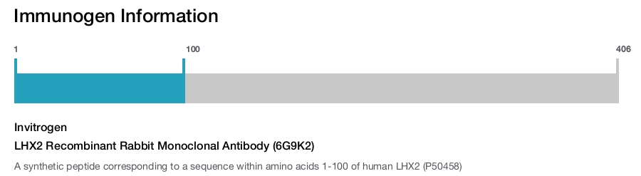 LHX2 Recombinant Rabbit Monoclonal Antibody (6G9K2)